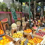 1561 - Best Family Deal In Paris Olympic Games 2024
